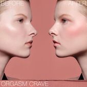 nars the multiple mini duo